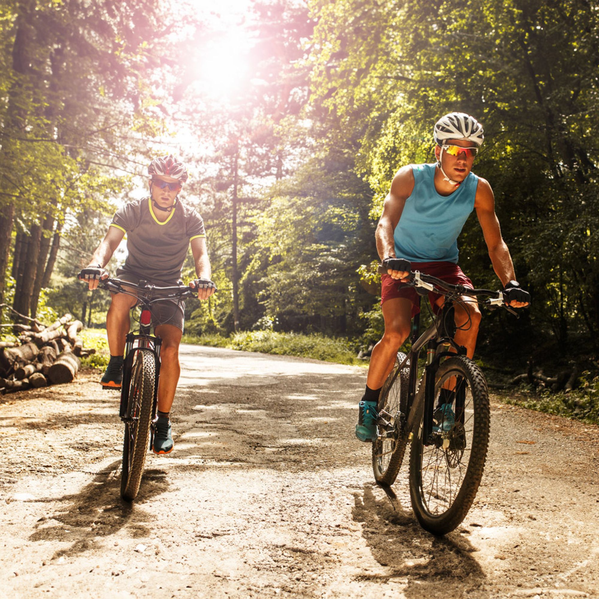 Fahrradfahrer im Wald